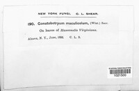 Image Associated With the Occurence